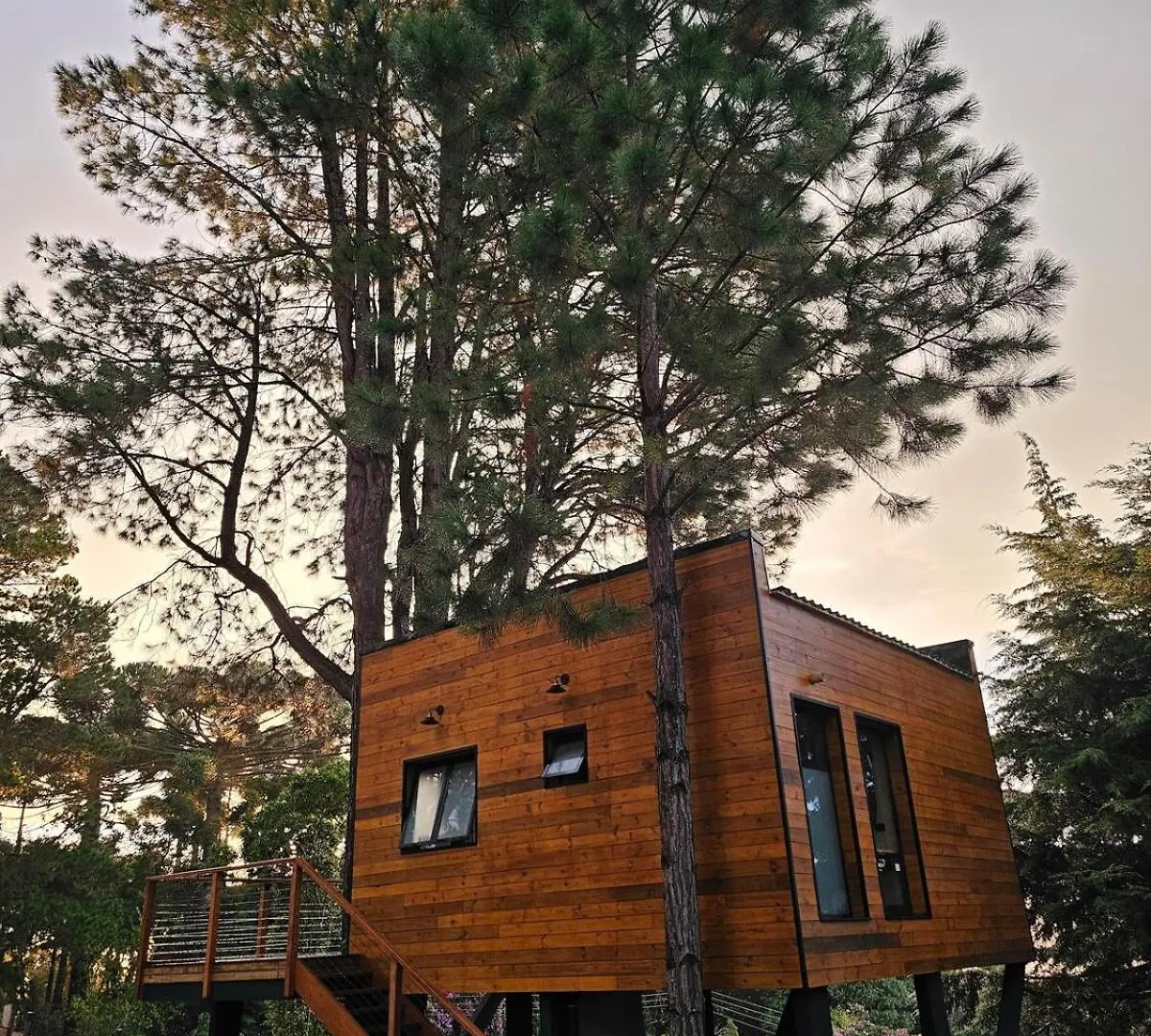 Casa Da Arvore - Mantequiero Campos do Jordao 0*,