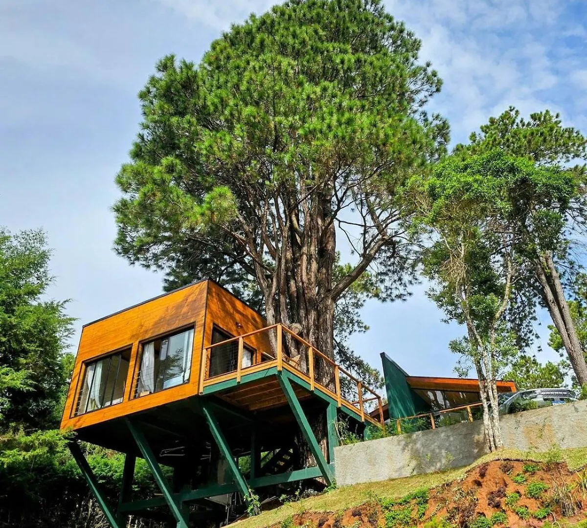 Chalet Casa Da Arvore - Mantequiero Campos do Jordao