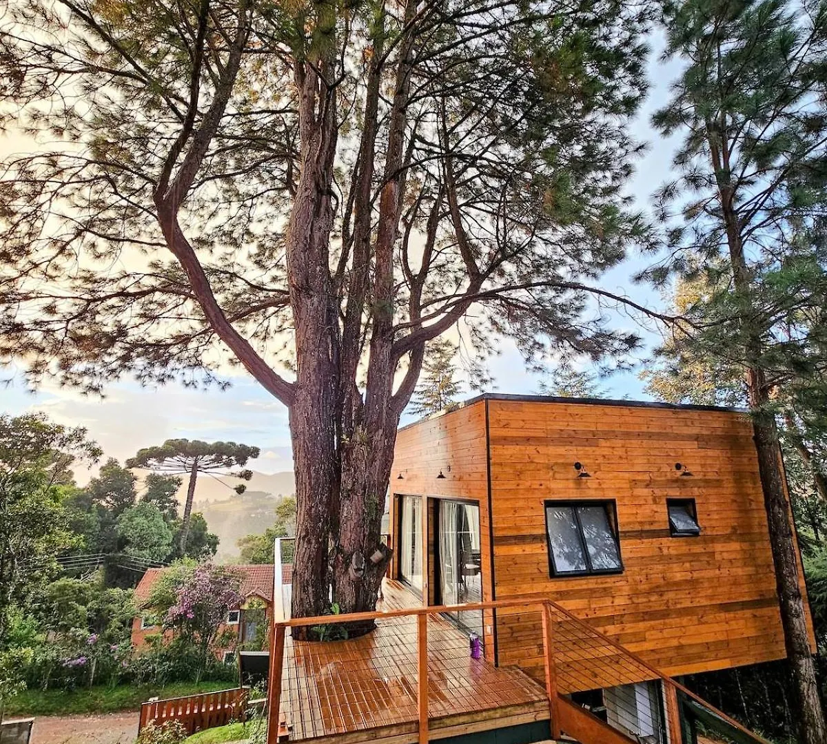 Casa Da Arvore - Mantequiero Campos do Jordao