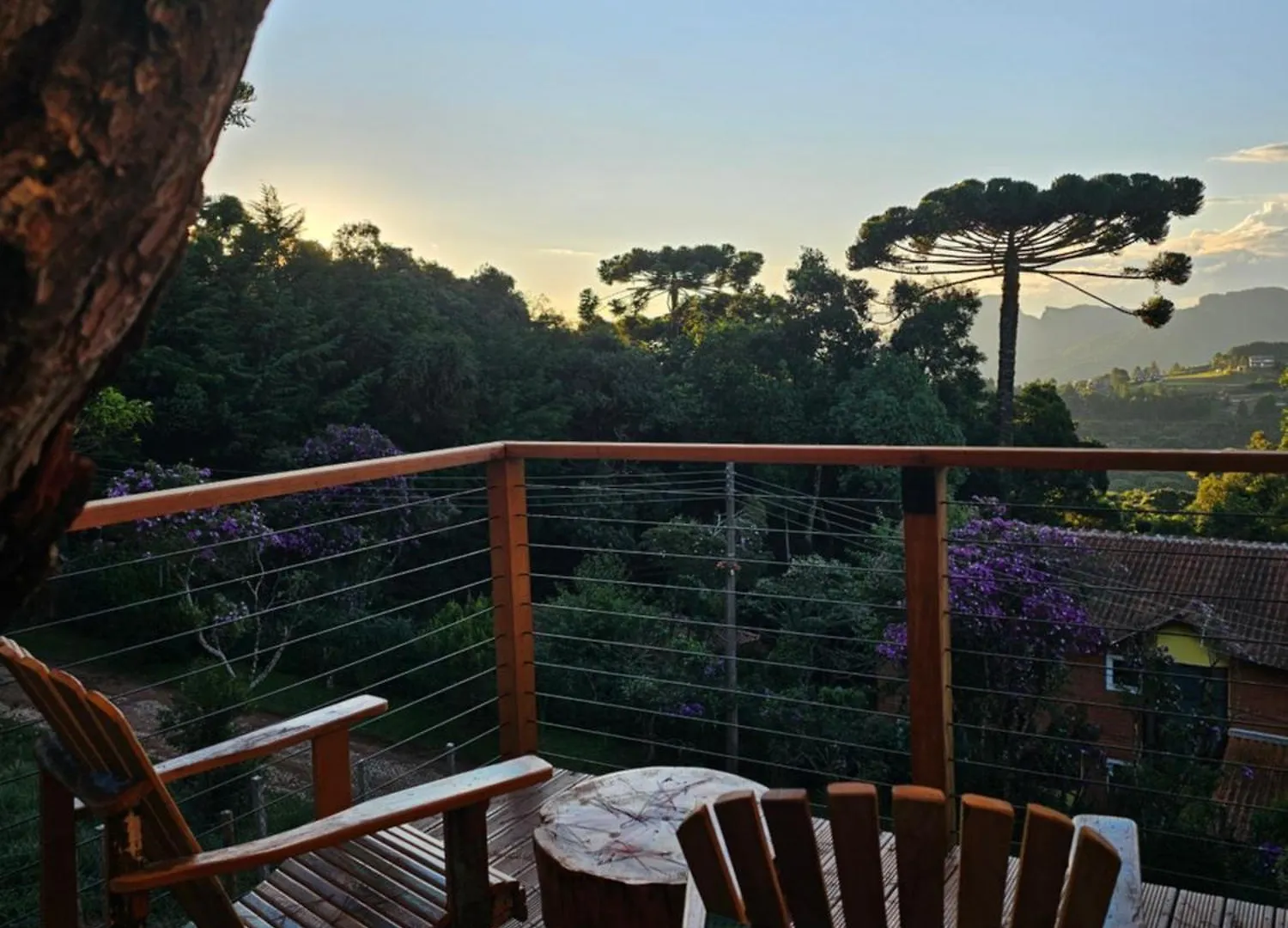 Casa Da Arvore - Mantequiero Campos do Jordao